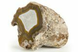 Polished Banded Laguna Agate Half - Mexico #323883-1